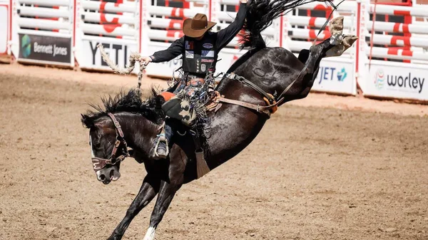 Cavalier de rodéo en pleine action lors d'une compétition en Alberta.