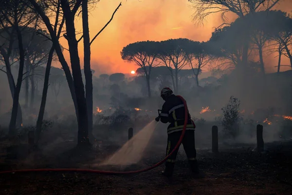 Un pompier lutte contre un incendie de forêt dans le Var, arrosant les flammes au coucher du soleil.