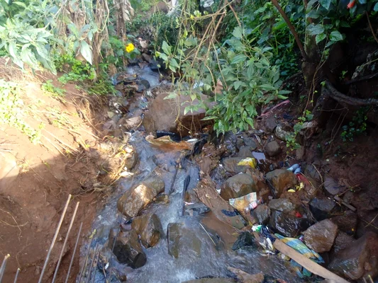 Rivière sujette au déversement de déchets, illustrant la pollution des cours d'eau.