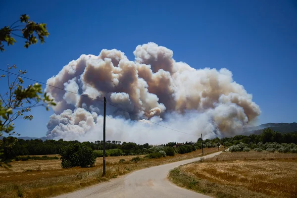 Un immense panache de fumée s'élève d'un incendie de forêt dans un paysage rural d'Andalousie.