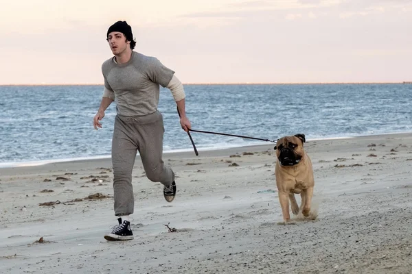 Anthony Ippolito en plein jogging sur la plage avec son chien, dans une scène du documentaire « I Play Rocky ».