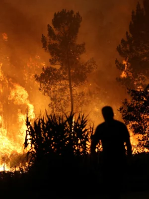 Une silhouette contemple un incendie de forêt gigantesque qui embrase l'horizon.