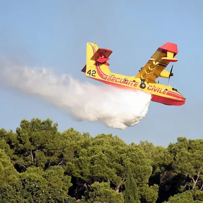 Canadair larguant de l'eau sur un incendie de forêt.