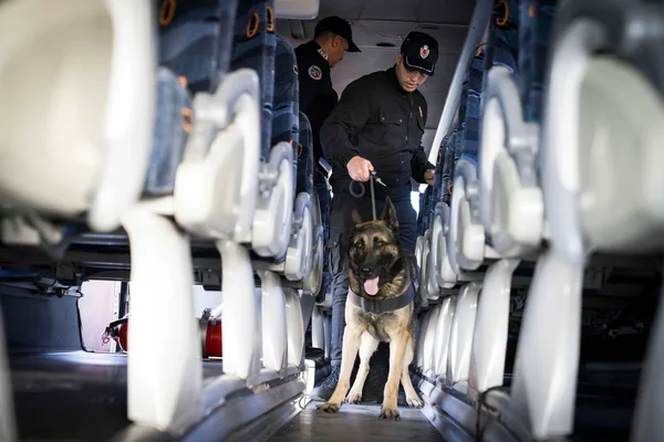 Inspection de sécurité dans un avion par des agents accompagnés d'un chien renifleur.