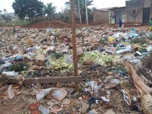 Décharge sauvage mélangeant déchets organiques et plastiques, en périphérie d'une zone bâtie.