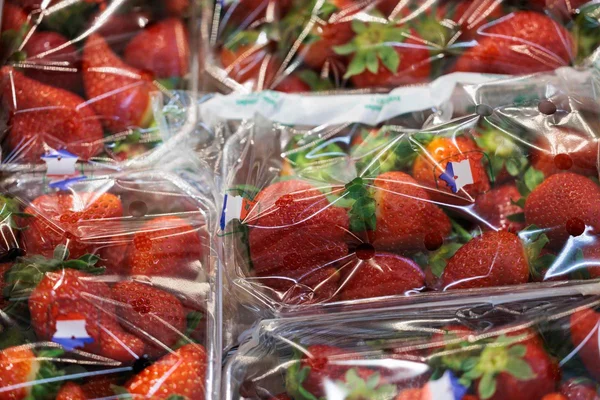 Fraises en barquettes plastique dans un rayon Carrefour.