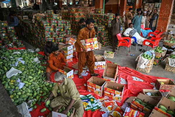 Des ouvriers conditionnant des mangues pakistanaises dans un entrepôt, malgré la crise des exportations
