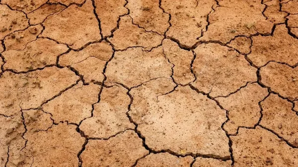 Sol aride et craquelé, illustration de la sécheresse, un aléa climatique majeur.