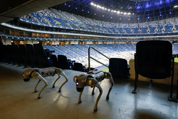 Des chiens-robots de sécurité patrouillant dans un stade vide au Mexique, utilisés pour la Coupe du monde.