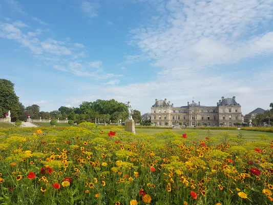 Le Jardin du Luxembourg et le palais du Sénat au printemps.