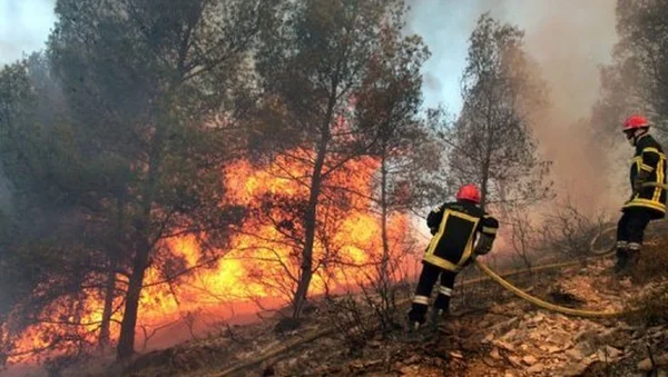Pompiers des Bouches-du-Rhône combattant un incendie de forêt.