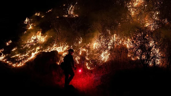 Un pompier lutte contre un incendie de forêt en Californie, alors qu'une vague de chaleur extrême frappe des dizaines de millions d'Américains.