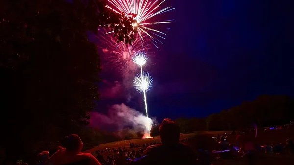 Feux d'artifice illuminant le ciel de Washington pour les 250 ans des États-Unis, le 4 juillet 2026.