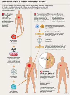 Schéma du mécanisme d'action du vaccin anticancéreux MaxiVax développé à Genève.