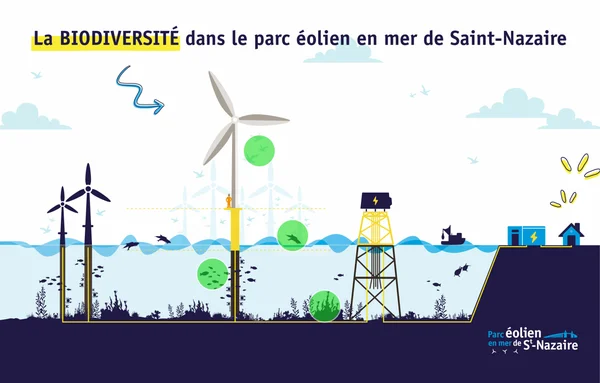 Infographie du parc éolien en mer de Saint-Nazaire présentant la biodiversité marine et les infrastructures.
