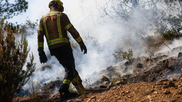 Pompier inspectant les dégâts après un incendie de forêt dans le sud de l'Espagne.