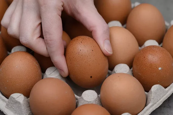 Main choisissant un œuf brun dans une boîte en carton, illustrant le rappel Lidl.