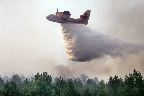 Largage aérien d'un Canadair au-dessus d'un massif forestier.