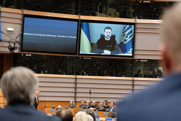 Session plénière extraordinaire du Parlement européen avec le président ukrainien Volodymyr Zelenskyy, le 19 novembre 2024.