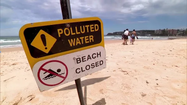 Un panneau d'avertissement 'POLLUTED WATER' et 'BEACH CLOSED' sur une plage de Sydney.