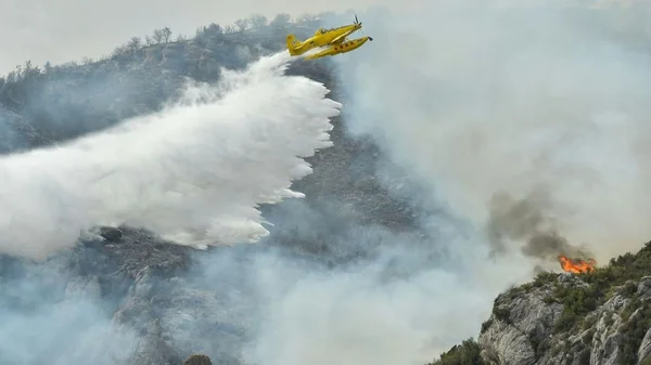 Un avion amphibie jaune largue de l'eau sur un incendie de forêt sur une colline escarpée.