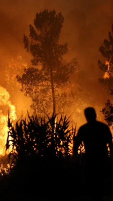 Un observateur contemple un incendie de forêt au Portugal, avec des flammes et de la fumée intenses.
