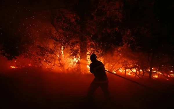 Pompier luttant contre un incendie de forêt la nuit, silhouette éclairée par les flammes.