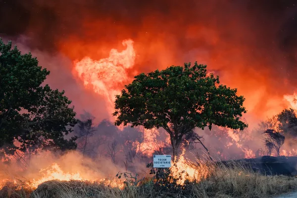 Incendie de forêt en Espagne avec un panneau 'TECOR SOCIETARIO' au premier plan, illustrant l'ampleur du sinistre.