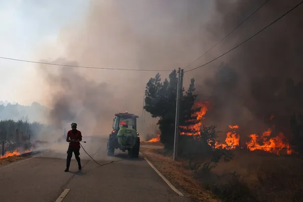 Un pompier tente de maîtriser un incendie qui a atteint le bord d'une route, avec un tracteur en renfort.