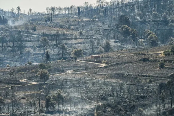 Paysage dévasté après le passage des flammes dans les Corbières.