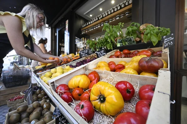Cliente choisissant des tomates sur un marché de producteurs.