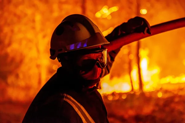 Pompier faisant face à un incendie de forêt, silhouette contre les flammes.