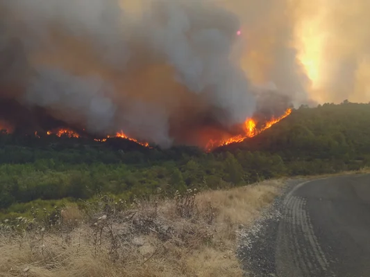Incendie ravageant une forêt dans l'Aude, avec des flammes et une épaisse fumée.
