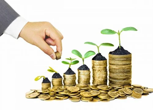 Concept d'investissement financier avec des pièces d'or et des plantes symbolisant la croissance du capital