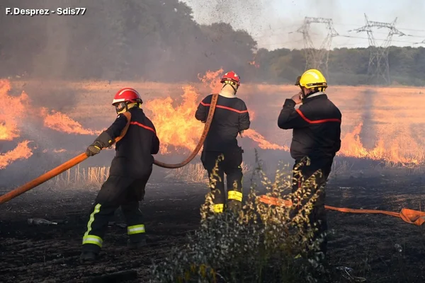 Des pompiers thaïlandais en intervention contre un incendie de végétation près de Bangkok.