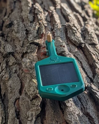Capteur connecté 'DRYAD' fixé à un arbre, une solution spatiale anti-feu déployée pour aider les pompiers.