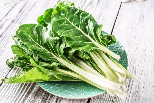 Légumes à feuilles vertes, possible source de l'épidémie de diarrhée explosive liée à Taco Bell.