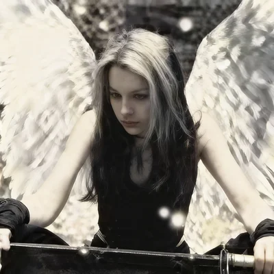 Le harcèlement moral dans les établissements scolaires