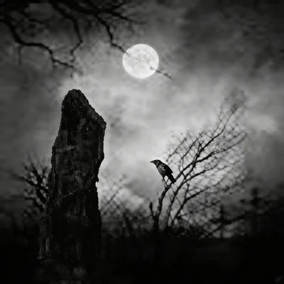 Les couronnes de la mort : Au jour de la fin vos proches viendront