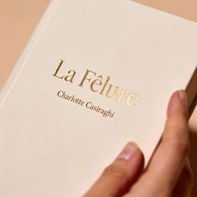 Couverture du livre La Fêlure