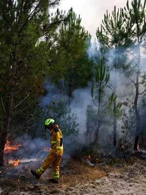 Pompier en tenue de protection jaune et casque vert fluo marchant dans une forêt de pins enfumée, avec des feux de sol actifs autour de lui, illustrant la lutte contre les incendies de forêt