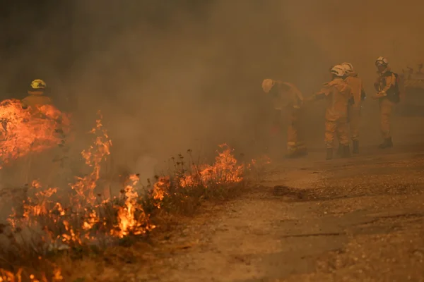 Pompiers en tenue de protection sur une piste en terre face aux flammes d'un incendie de végétation en Gironde, fumée épaisse en arrière-plan