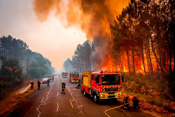 Des pompiers et des camions de pompiers sur une route combattent un grand incendie de forêt, avec des flammes intenses et une fumée épaisse dans les arbres à droite