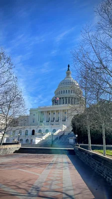 Le Capitole des États-Unis, siège du Congrès américain à Washington D.C., édifice néoclassique avec dôme blanc.