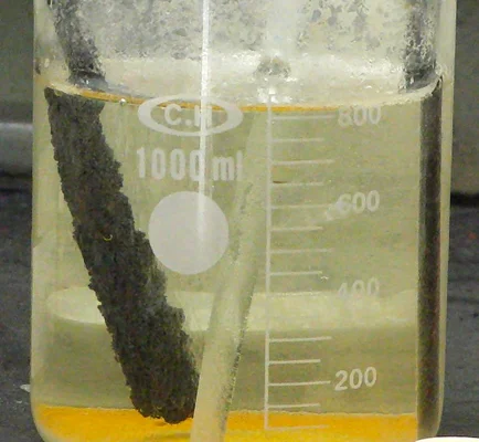 Photographie d'un bécher en verre de 1000 ml contenant un liquide clair avec une couche jaune au fond et un objet sombre texturé submergé, montrant la fabrication de métal de cadmium par électrolyse.