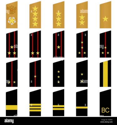 Illustration sur fond blanc d'une grille de vingt insignes d'épaule de l'armée russe, avec étoiles dorées, bandes et emblèmes sur fonds dorés et noirs.