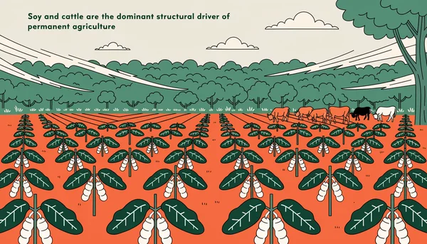 Illustration éditoriale plate montrant la lisière d'une forêt primaire tropicale verte avec un champ de soja et des bovins qui empiètent sur la ligne d'arbres, représentant le moteur agricole structurel de la déforestation.