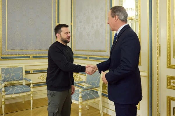 Le président ukrainien Volodymyr Zelenskyy, en sweat noir et pantalon cargo vert, serre la main de David Cameron en costume sombre et cravate, dans un salon orné de dorures et de papier peint bleu.