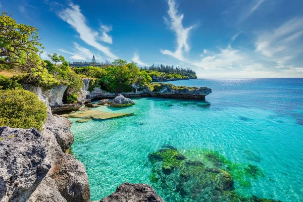 Paysage naturel de Nouvelle-Calédonie présenté dans '5 coups de coeur à découvrir en Nouvelle-Calédonie' : littoral rocheux, végétation luxuriante et mer turquoise sous un ciel bleu.