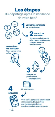 Infographie de la Haute Autorité de Santé présentant les quatre étapes du dépistage néonatal à l'aide de dessins au trait bleus expliquant le processus aux parents.